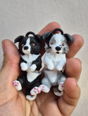Border Collie - Brelok / Magnes