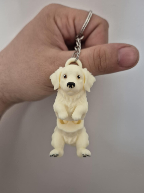 Golden Retriever - Brelok / Magnes Golden Retriever - Brelok / Magnes