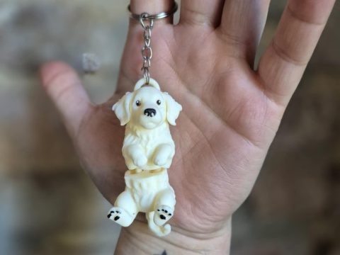 Golden Retriever - Brelok / Magnes Golden Retriever - Brelok / Magnes